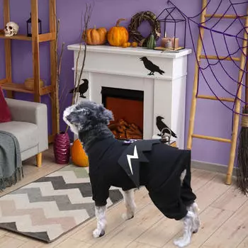 Очаровательный костюм для питомца в виде крыла летучей мыши для празднования Хэллоуина S