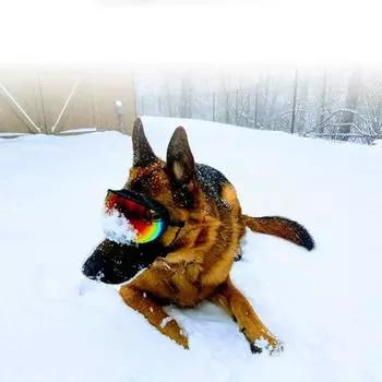 Очки для собак, солнцезащитные очки, солнцезащитные очки с защитой от УФ-лучей, защитные регулируемые ветрозащитные солнцезащитные очки, товары для домашних собак для путешествий чёрный