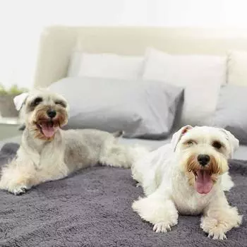 Одеяло для домашних животных Shu Cotton Velvet Dog Cat Blanket Mat Pet Supplies Pet Blanket Dog and Cat Blanket серый