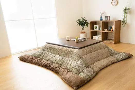 Одеяло Kotatsu 4550317202278 Зеленый Большой Прямоугольник [Ikehiko Corporation]