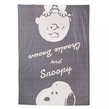 Одеяло nishikawa Snoopy Duvet защищает одеяло от 8 легко серых SI01400072 [Nishikawa] Чехол, подвижный, завязки, легкий, сухой, моющийся, серый