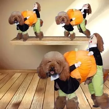 Одевание домашних животных на Хэллоуин, одежда из тыквы, костюмы для косплея для собак S оранжевый