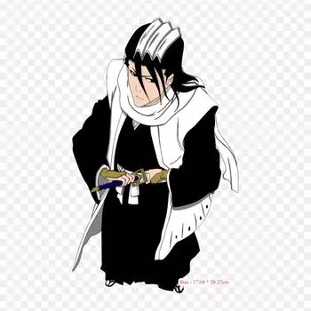Одежда Byakuya Kuchiki, аниме Lron, нашивки для сумки для одежды, футболка, термопереносные наклейки, полоски, аппликации