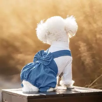 Одежда для четвероногих собак Тонкая одежда для домашних животных Цельный джинсовый комбинезон Одежда для маленьких собак XS