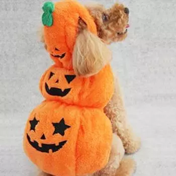 Одежда для домашних животных Осенняя и зимняя одежда для Хэллоуина Волшебная трансфигурация Одежда для собак с капюшоном XL