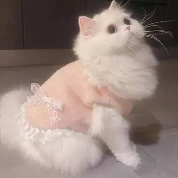 Одежда для домашних животных Собака Кошка Милый жилет Утолщенный жилет Теплая куртка Имитация выпадения шерсти Маленькая собака XS