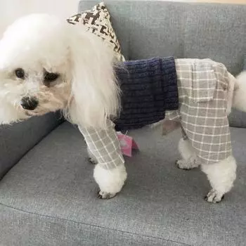 Одежда для домашних животных Тедди Большой медведь Померанский шпиц Маленькая собака Квад Клетчатый лацкан Поддельный комплект из двух предметов Универсальный S серый