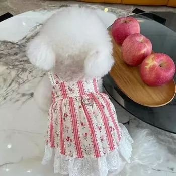 Одежда для домашних животных Весна/лето Новая полосатая кружевная юбка с цветочным принтом Медвежонок Кот Тонкая одежда Одежда для собак для маленьких собак Платье для маленьких собак XS