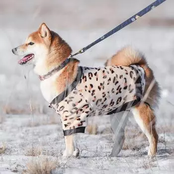 Одежда для кошек и собак Arctic Velvet с леопардовым принтом: Утепленный осенне-зимний наряд для шнауцеров и корги S фиолетовый