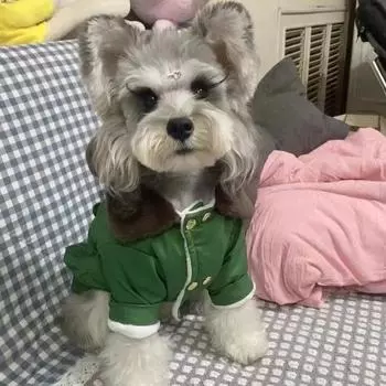 Одежда для кошек и собак, утепленная, теплая зимой, новогоднее армейское зеленое хлопковое пальто, куртка с хлопковой подкладкой для маленьких и больших собак. S