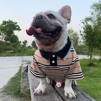 Одежда для маленьких собак, модная рубашка-поло для собак, одежда для кошек, одежда для домашних животных, Ropa Para Perro Pequeo, рождественская одежда для собак XS красный