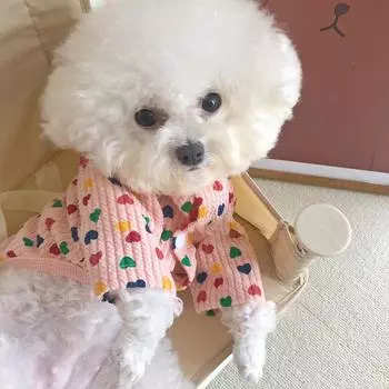 Одежда для отдыха для домашних животных с принтом сердца для собак, одежда для домашних животных, костюм для маленьких и средних собак, одежда для домашних животных, Ropa Perro, йоркширский французский бульдог S белый