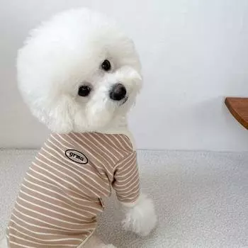 Одежда для собак для маленьких собак, хлопковый жилет для собак, всесезонная мягкая майка для собак, костюм чихуахуа бишона, толстовка с капюшоном для щенка, футболка для собак XS синий