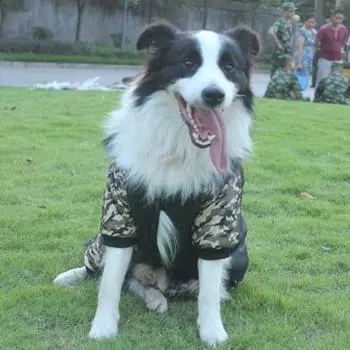 Одежда для собак ФБР осень и зима удобная и теплая камуфляжная утолщенная хлопковая куртка одежда для домашних собак S армия зеленый