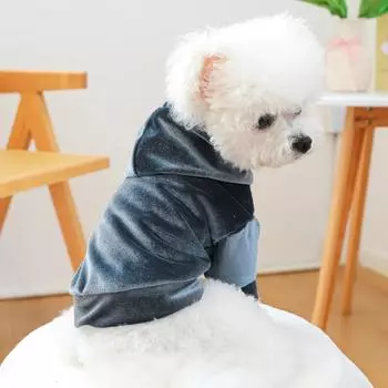 Одежда для собак и кошек из бархата Осень/Зима, новинка из бархата, дизайнерская одежда для собак, толстовки с капюшоном для собак XS