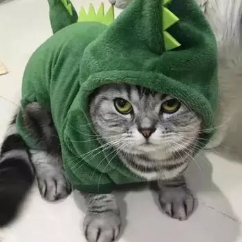 Одежда для собак на Хэллоуин для домашних животных, кошек, собак, забавный костюм динозавра для косплея, зимнее теплое пальто для кошек, флисовые толстовки, свитер XS