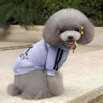 Одежда для собак, пальто для домашних животных, свитер с капюшоном для щенков, одежда для кошек, спортивный двуногий свитер S