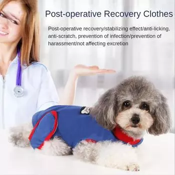 Одежда для собак после операции, кастрированная одежда для домашних животных, одежда для собак с защитой от лизания и царапин, мягкий высокоэластичный хлопок, товары для домашних животных, одежда для собак XS синий