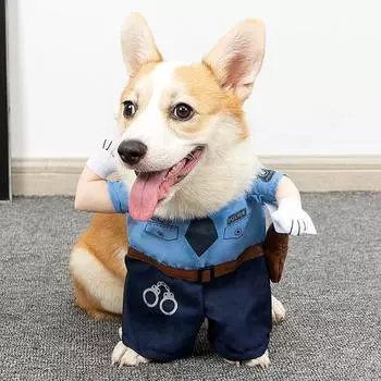 Одежда для собак Смешной костюм на Хэллоуин Толстовка для щенка Костюм для косплея для собак Одежда для вечеринок Комплекты для кошек и собак Одежда для питомцев Наряды для собак S