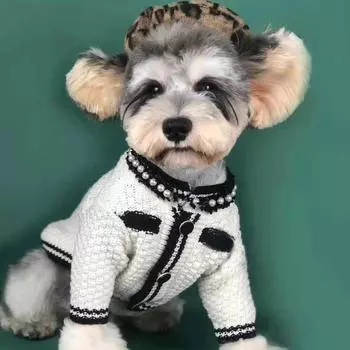 Одежда для собак, весенняя одежда, маленький ароматный джемпер, кардиган, синель, померанский шпиц, тедди, корги, мопс, кошка, одежда для домашних животных, одежда для щенков S белый