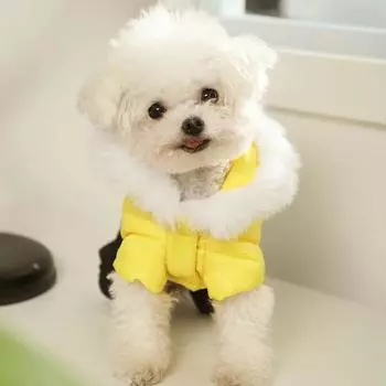 Одежда для собак Зимняя одежда для маленьких собак Тедди йоркширский щенок Осенняя одежда для собак Осень-зима Теплая одежда для четвероногих Дизайнерская одежда для собак XS