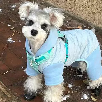 Одежда для собак Зимняя одежда Зимняя хлопковая одежда Маленькие собаки Бишон Померанский шпиц Щенки Щенки Домашние животные Теплая утепленная одежда для четвероногих S