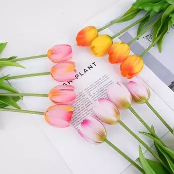 Один мягкий тюльпан домашняя свадьба светло-розовый