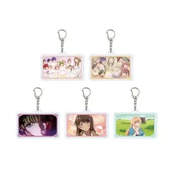 Один в другом мире Завоевание 01 Акриловый брелок Коробка [Официальная иллюстрация] 5 штук