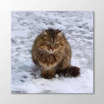 Одинокая Кошка Живопись