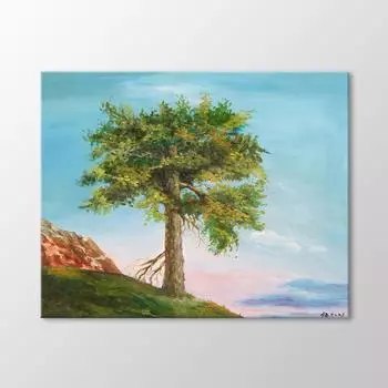 Одинокое дерево