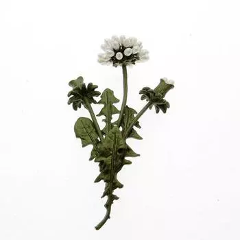 Одуванчик модный полуотверстие натуральный пресноводный жемчуг зеленый винтажный булавка брошь женская пуговица булавка одежда зелёный