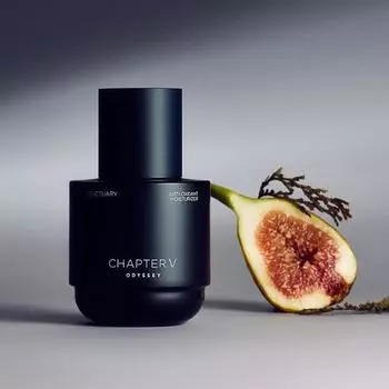 Odyssey Chapter Five AntiOXant Sanctuary Moisturizer 110мл, популярная корейская мужская косметика