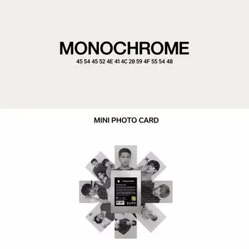 Оформите предзаказ Мини-фотокарточка BTS MONOCHROME