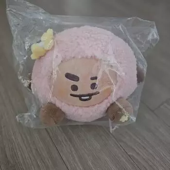 Ограниченная серия Bt21 Spring Day Shooky Spring Day Shoes