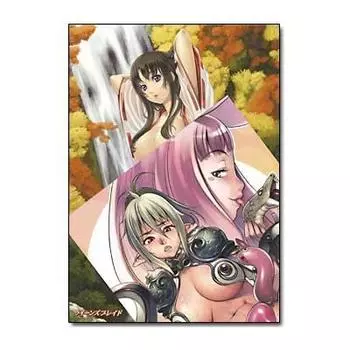 Ограниченный набор из 2 прозрачных постеров Wonder Festival 2008 Winter