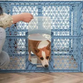 Ограждение для собак складное складное крепление для маленьких собак в помещении надежное соединение комбинированные ограждения простая установка товары для животных принадлежности коричневый