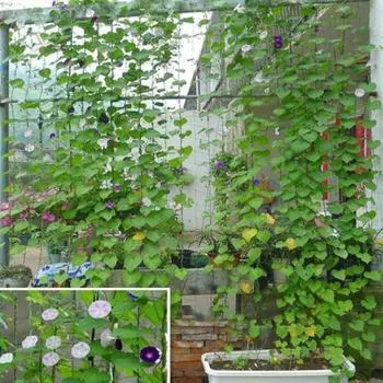 Огуречная решетка Износостойкая компактная пластиковая сетка для огурцов для сада S