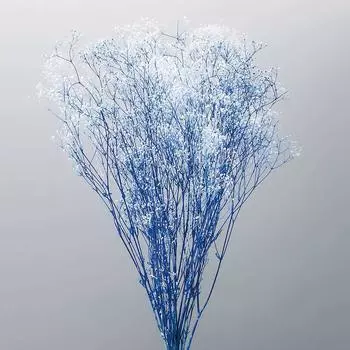 Ohchinouen Daichi Farm Preserved Flower Mini Kasumi Grass Flower Veil L 22G Белый/Синий Прибл.. 40.0см DO000015-016