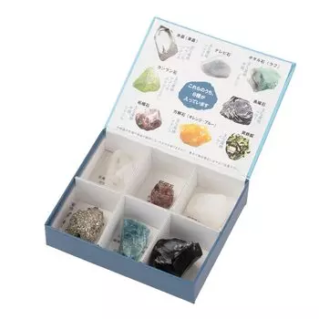 Oherikosha Earth Fragments Series Mineral First 6 Pieces Doctor s