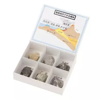 Oherikosha Mini Specimen Series 6 types of sedimentary rock specimens