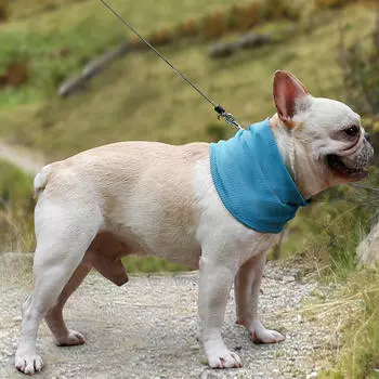 Охлаждающая бандана Chill Pup — сохраняйте прохладу в течение дня S