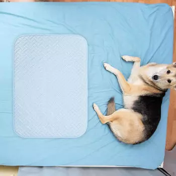 Охлаждающий коврик для домашних животных, одеяло, подушка для кошек, дышащая подушка для собак S