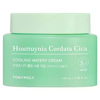 Охлаждающий увлажняющий крем Tony Moly Eoseong Chocica, 100 мл, 1 шт.