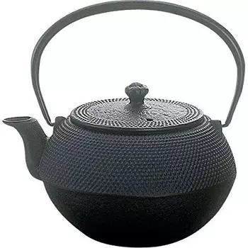 Oigen Nambu Ironware Teapot Maromi Arale Large Open Fire E-110L