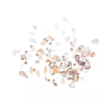 Около 40 шт./пакет миниатюрный кукольный домик морская ракушка бонсай ландшафтный декор своими руками 1:12