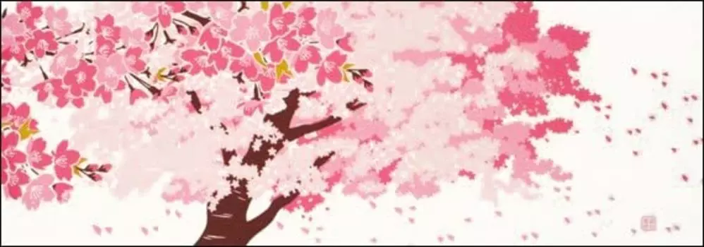 Окрашенный Anbo Tenugui Натуральный окрашенный хлопок Tokuoka Сделано в Японии 35 см x 100 см Kobore Sakura 100%