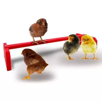 Окунь для попугая, устойчивая структура, износостойкая деревянная решетка для птиц, курицы, барный окунь, товары для фермы красный