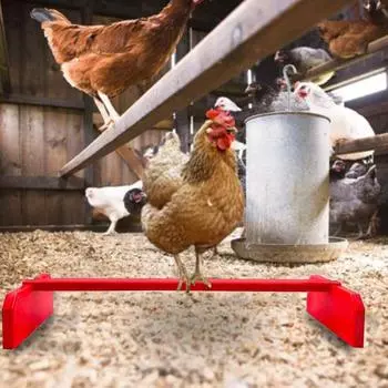 Окунь для попугая, устойчивая структура, износостойкая деревянная решетка для птиц, курицы, барный окунь, товары для фермы красный