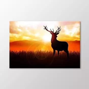 Олень Таблица