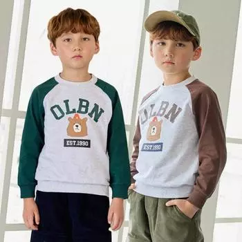 [olivean] Толстовка с цветными блоками, реглан, 2 цвета painted/110